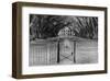 Oak Alley Plantation, Louisiana-null-Framed Art Print