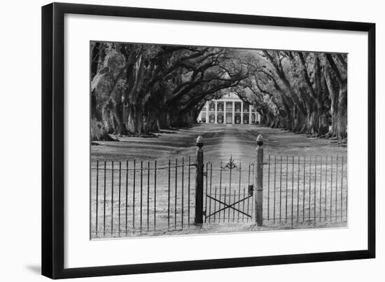 Oak Alley Plantation, Louisiana-null-Framed Art Print