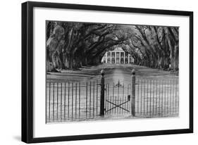 Oak Alley Plantation, Louisiana-null-Framed Art Print