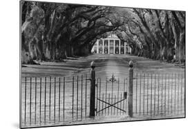 Oak Alley Plantation, Louisiana-null-Mounted Art Print