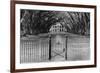 Oak Alley Plantation, Louisiana-null-Framed Art Print