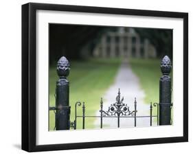 Oak Alley Plantation, Vacherie, Louisiana, USA-null-Framed Photographic Print