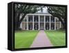 Oak Alley Plantation, Vacherie, St. James Parish, Louisiana, USA-Rob Tilley-Framed Stretched Canvas