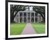 Oak Alley Plantation, Vacherie, St. James Parish, Louisiana, USA-Rob Tilley-Framed Photographic Print