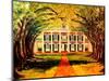 Oak Alley Plantation-Diane Millsap-Mounted Art Print