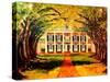 Oak Alley Plantation-Diane Millsap-Stretched Canvas