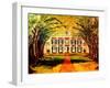 Oak Alley Plantation-Diane Millsap-Framed Art Print