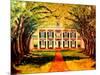 Oak Alley Plantation-Diane Millsap-Mounted Art Print