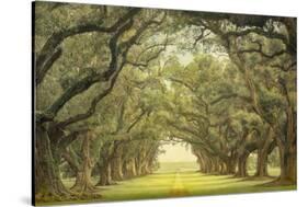 Oak Alley, view from veranda-William Guion-Stretched Canvas