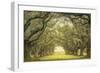 Oak Alley, view from veranda-William Guion-Framed Art Print