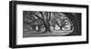 Oak Alley West Row-William Guion-Framed Giclee Print