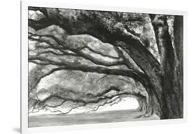 Oak Alley-Jill Tishman-Framed Giclee Print