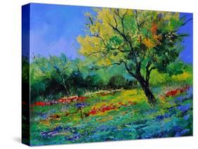 Oak Amid Flowers In Texas-Pol Ledent-Stretched Canvas