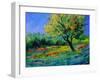 Oak Amid Flowers In Texas-Pol Ledent-Framed Art Print