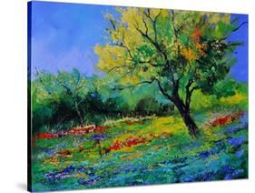 Oak Amid Flowers In Texas-Pol Ledent-Stretched Canvas