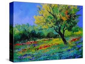 Oak Amid Flowers In Texas-Pol Ledent-Stretched Canvas