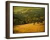 Oak and Fence-William Guion-Framed Photographic Print