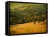 Oak and Fence-William Guion-Framed Stretched Canvas