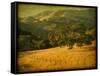 Oak and Fence-William Guion-Framed Stretched Canvas