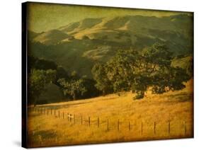 Oak and Fence-William Guion-Stretched Canvas