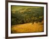 Oak and Fence-William Guion-Framed Photographic Print