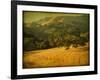 Oak and Fence-William Guion-Framed Photographic Print