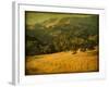 Oak and Fence-William Guion-Framed Photographic Print