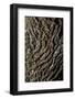 oak bark-By-Framed Photographic Print