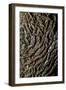 oak bark-By-Framed Photographic Print