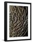 oak bark-By-Framed Photographic Print