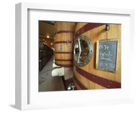 Oak Barrels and Foudre Fermentation Vats, Chateau Puech-Haut, Saint-Drezery-Per Karlsson-Framed Photographic Print