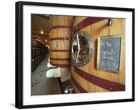 Oak Barrels and Foudre Fermentation Vats, Chateau Puech-Haut, Saint-Drezery-Per Karlsson-Framed Photographic Print