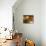 Oak Barrels in Cellar at Domaine Comte Senard, Aloxe-Corton, Bourgogne, France-Per Karlsson-Stretched Canvas displayed on a wall