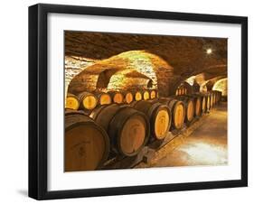 Oak Barrels in Cellar at Domaine Comte Senard, Aloxe-Corton, Bourgogne, France-Per Karlsson-Framed Premium Photographic Print