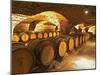 Oak Barrels in Cellar at Domaine Comte Senard, Aloxe-Corton, Bourgogne, France-Per Karlsson-Mounted Premium Photographic Print