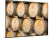 Oak Barrels in Winery, Sonoma Valley, California, USA-Julie Eggers-Mounted Photographic Print