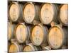 Oak Barrels in Winery, Sonoma Valley, California, USA-Julie Eggers-Mounted Photographic Print