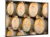 Oak Barrels in Winery, Sonoma Valley, California, USA-Julie Eggers-Mounted Photographic Print