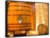 Oak Barrels, Juanico Winery, Uruguay-Stuart Westmoreland-Framed Stretched Canvas