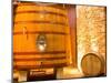 Oak Barrels, Juanico Winery, Uruguay-Stuart Westmoreland-Mounted Premium Photographic Print