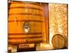 Oak Barrels, Juanico Winery, Uruguay-Stuart Westmoreland-Mounted Photographic Print