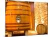 Oak Barrels, Juanico Winery, Uruguay-Stuart Westmoreland-Mounted Photographic Print