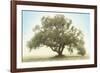 Oak & Blue Sky-William Guion-Framed Art Print