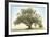 Oak & Blue Sky-William Guion-Framed Art Print