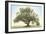 Oak & Blue Sky-William Guion-Framed Giclee Print