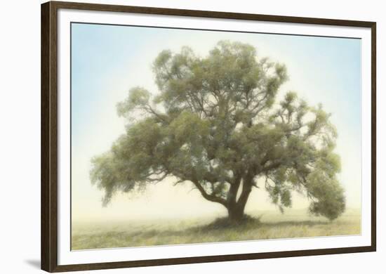 Oak & Blue Sky-William Guion-Framed Giclee Print