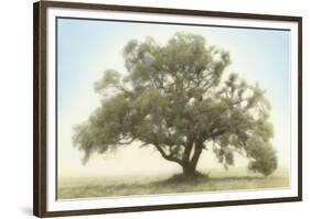 Oak & Blue Sky-William Guion-Framed Giclee Print