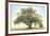 Oak & Blue Sky-William Guion-Framed Giclee Print