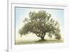 Oak & Blue Sky-William Guion-Framed Giclee Print