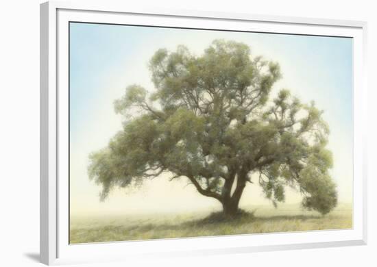 Oak & Blue Sky-William Guion-Framed Giclee Print